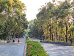 -深圳国际园林花卉博览园