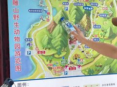 -西霞口神雕山野生动物世界