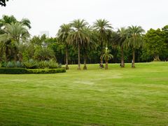-荔香公园