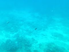-亚龙湾海底世界
