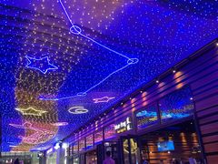 -bluefrog蓝蛙(皇庭广场店)