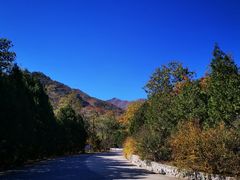 -北京鹫峰国家森林公园
