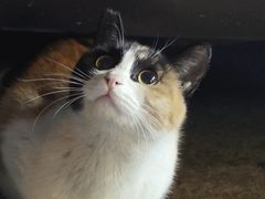 -便利蜂(广安门内大街319号店)