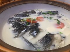 -全乐鱼馆·淳牌有机鱼直营店