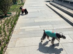 -北京观赏动物医院·24小时大型综合·猫专科·异宠专科
