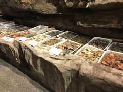 -郑庄脂渣海鲜楼(九水路店)