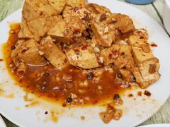 -北京白桦林彭兴全农家院