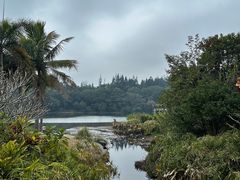-深圳仙湖植物园
