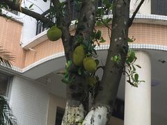 -广州市干部健康管理中心