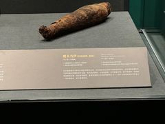 -遇见博物馆(遇见海洋沉浸式奇幻光影展)