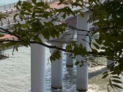 -星海湾跨海大桥