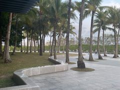 -福田红树林生态公园