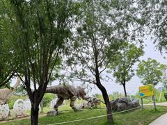 -西部长青自然儿童乐园