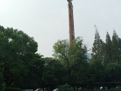 -江湾体育中心游泳馆