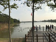 -艾溪湖湿地公园