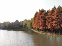 -自然谷恐龙园