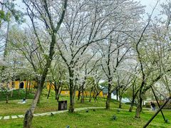 -苏州上方山国家森林公园