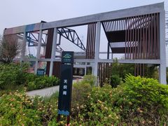 -王借岗森林公园