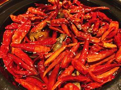 香辣武当岩鱼-丹江渔村(望京店)