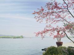 -浙江西子宾馆·瑶园咖啡厅