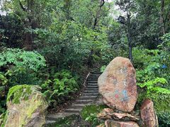 -江心屿景区
