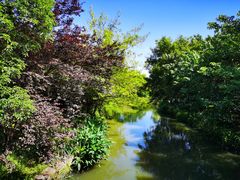 -西溪国家湿地公园