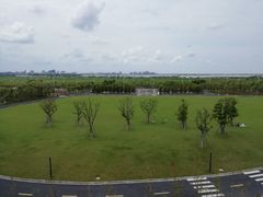 -春花秋色城市公园