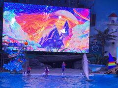-海合安武汉极地海洋公园