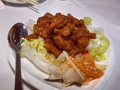 红烧排骨王-詠春园