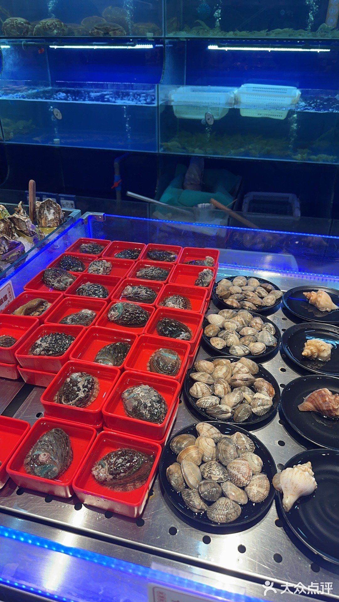 【探店】1元吃海鲜！今天最后一天了！