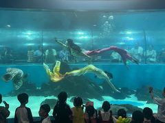 -苏州海洋馆