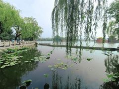 -济南大明湖景区