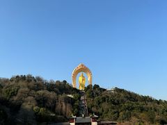 -庐山风景名胜区-东林大佛