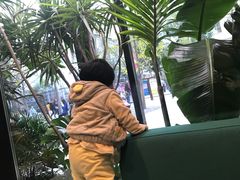 -Soloist 独奏公司(798店)