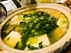 酥肉煨豆腐-眉州东坡(团结湖店)
