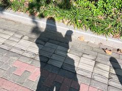 -和颐至尚酒店(上海陆家嘴浦电路地铁站店)