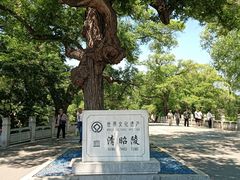 -北陵公园