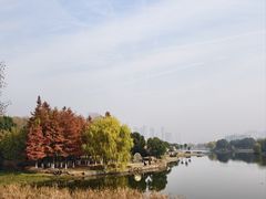 -月湖风景区