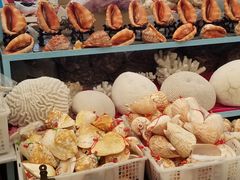 -石塘路海鲜市场(草厂中路店)