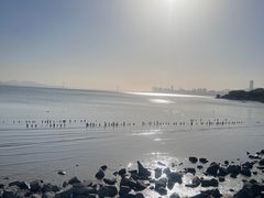 -深圳湾公园(南山区)