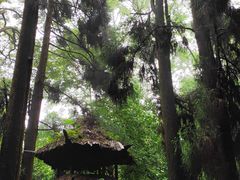 -青城山