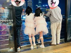 -黄浦江游览十六铺3号码头网红自助餐