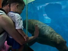-泉城欧乐堡海洋极地世界