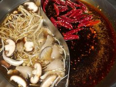 -大龙燚火锅(春熙店)