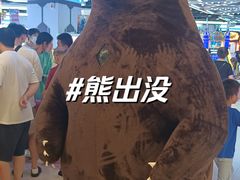 -凯德MALL(望京店)