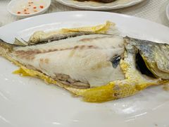 黄鱼-深运潮州粥(东门店)