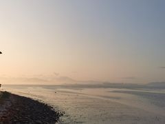 -深圳湾公园(南山区)