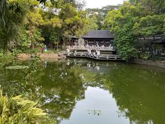 -深圳国际园林花卉博览园