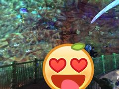 -青岛嘉年华主题乐园