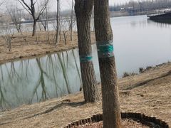 -东郊湿地公园